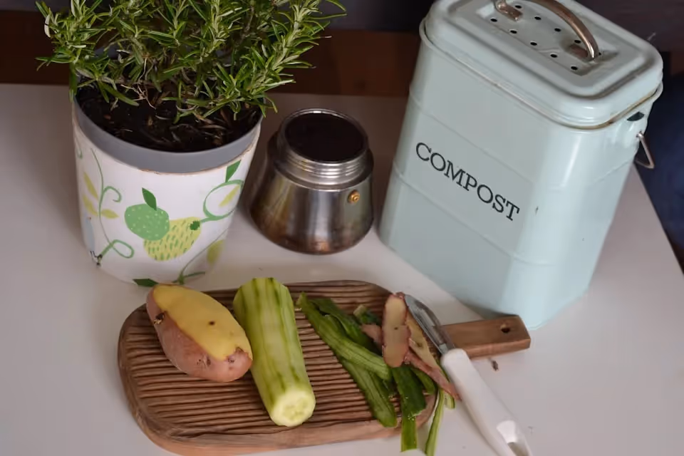 A kitchen setup featuring a potted herb plant, a small compost bin, a container with coffee grounds, and a cutting board with peeled cucumber, potato, and vegetable scraps.