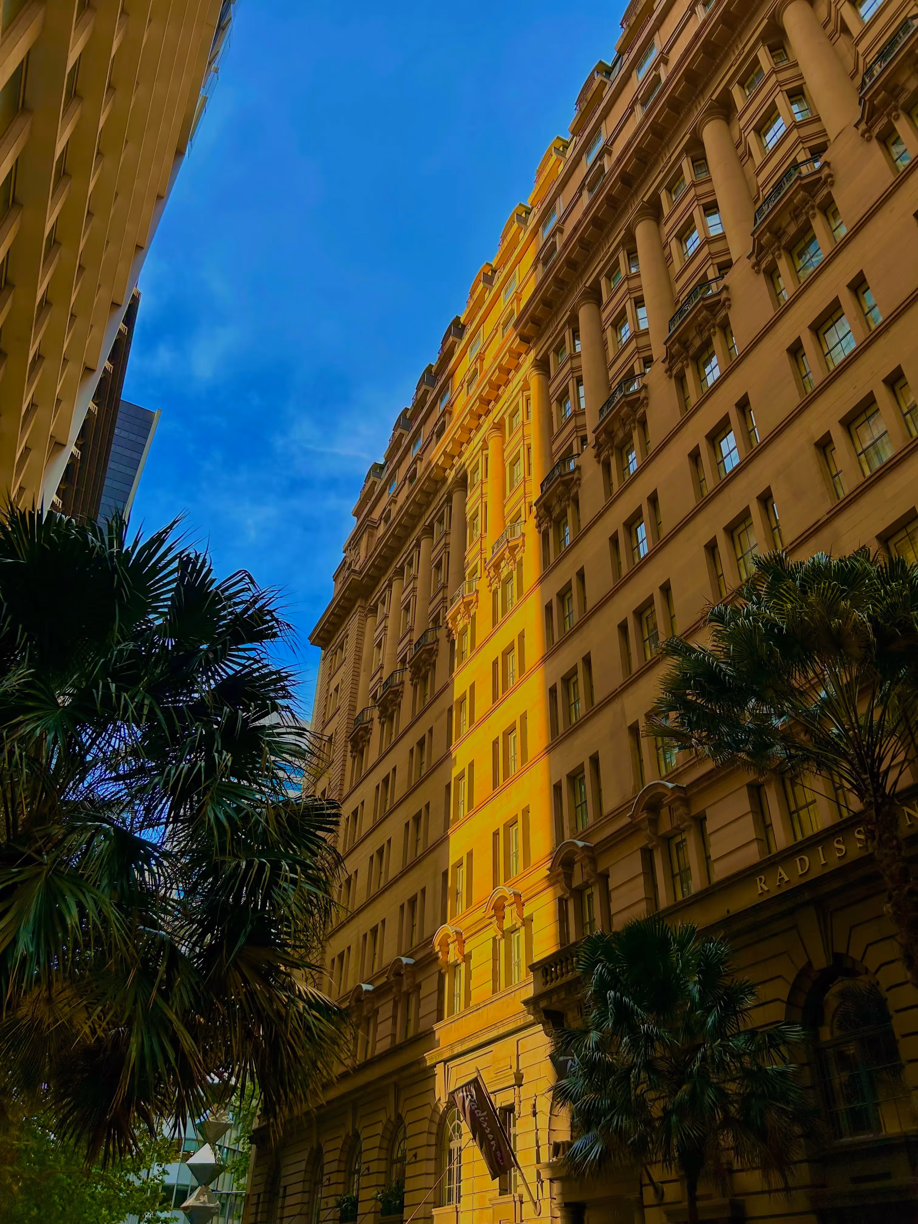 The Raddison Blu Sydney, a tall historic building with a classical facade, is bathed in sunlight against a clear blue sky, flanked by palm trees and modern buildings.