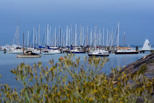 Sailing boats and yachts docked at Williamstown, Victoria, with blurred plants in the foreground.
