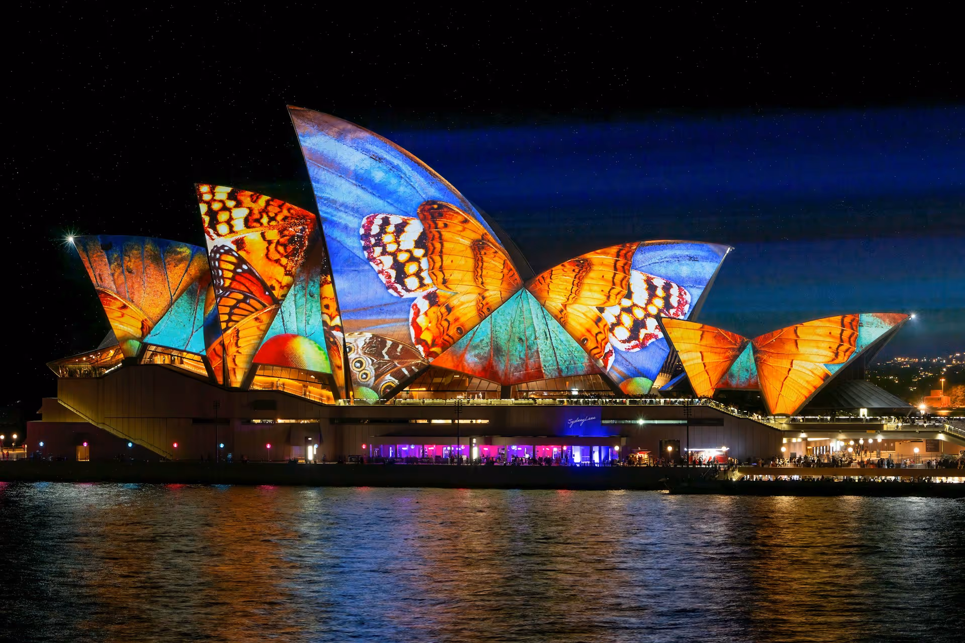 The Sydney Opera House illuminated with vibrant butterfly-themed projections during Vivid Sydney.