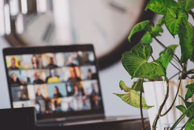 A laptop screen displaying a virtual meeting with multiple participants and a green potted plant in the foreground.