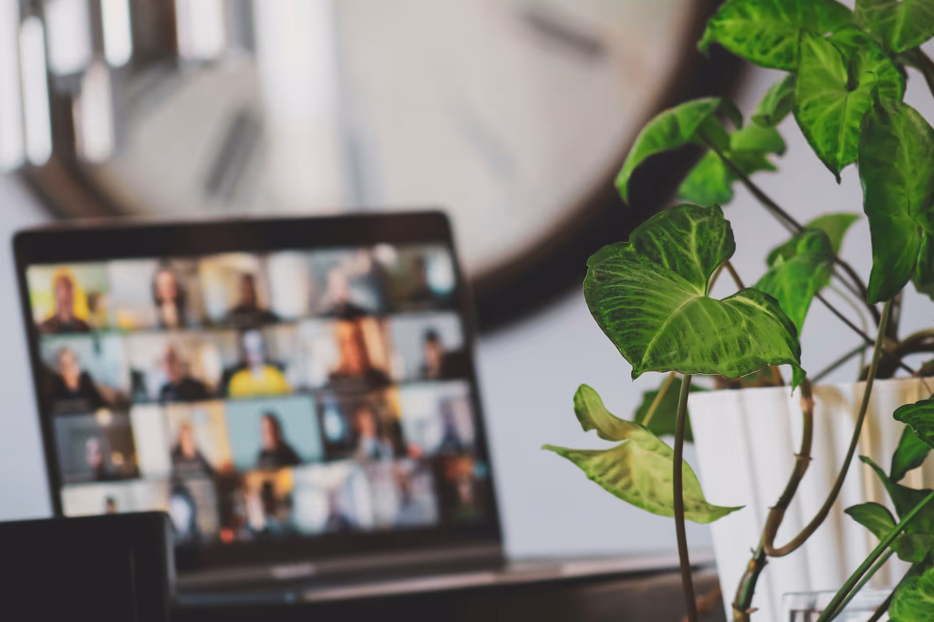 A laptop screen displaying a virtual meeting with multiple participants and a green potted plant in the foreground.