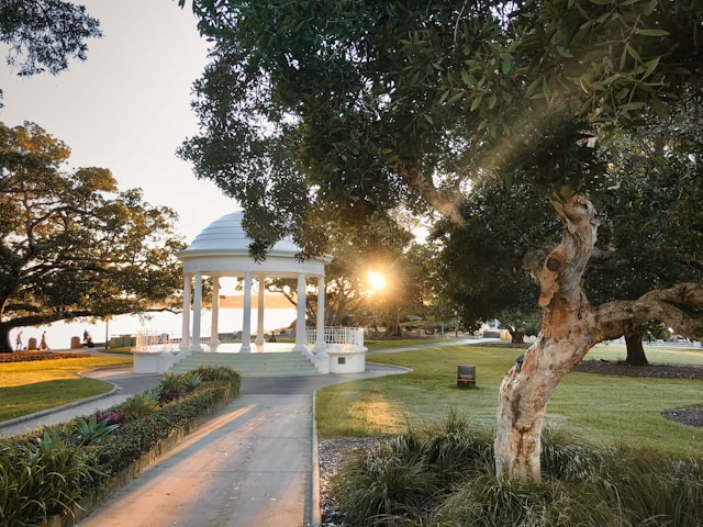 Sunlight shining through trees at Balmoral Beach, with the white rotunda in the foreground and people walking along the waterfront path.