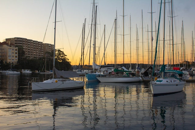 Yachts and sailboats anchored at Rushcutters Bay Marina during sunset, with calm water and apartment buildings in the background.