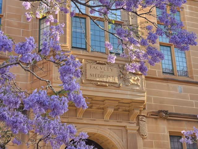 Jacaranda blossoms in full bloom frame the sandstone entrance of the University of Sydney’s Faculty of Medicine, capturing one of Sydney’s most iconic springtime views.