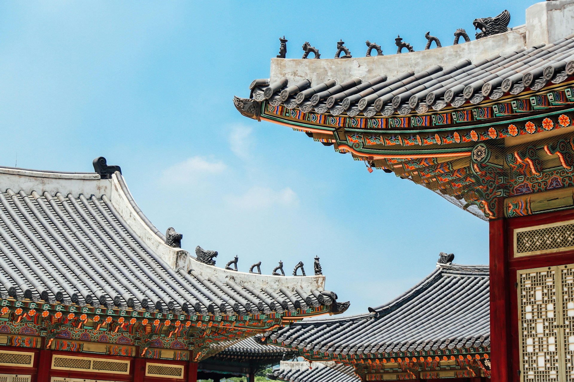 韓国留学で使うべきアプリ6選!活用術も合わせて解説