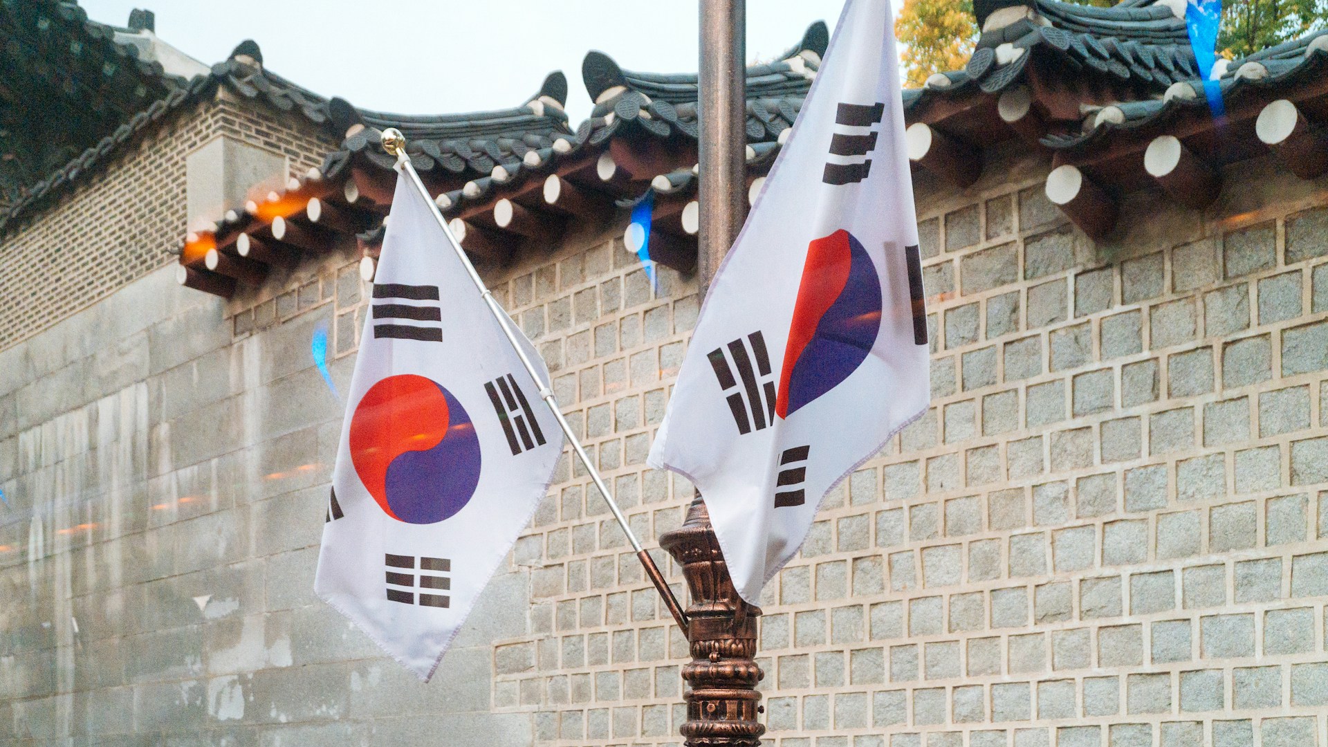 秋の韓国留学のメリット&おすすめの学校3選
