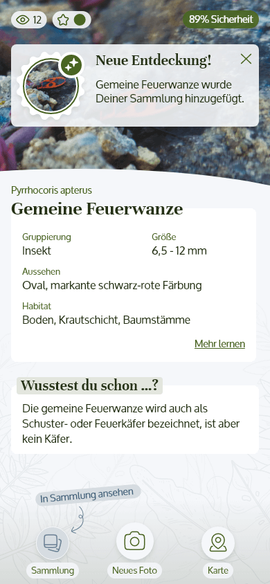 High fidelity MockUp, der User hat ein neues Insekt gematcht und seiner Sammlung hinzugefügt.