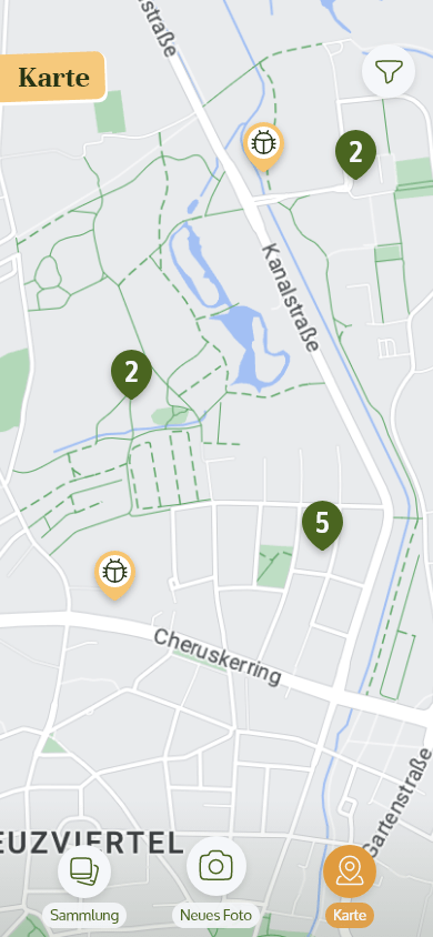 High fidelity MockUp, die Karte