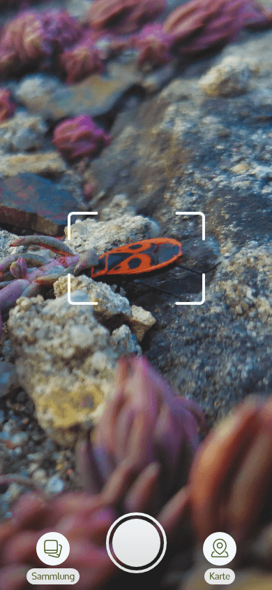 High fidelity MockUp, die Kamera