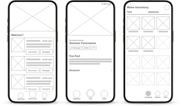 Ansicht der Wireframes für Urban Safari