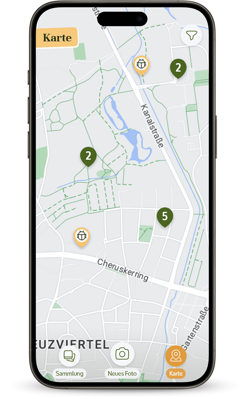 Die Kartenansicht von Urban Safari