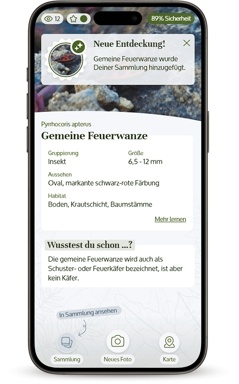 Der Nutzer hat in der App Urban Safari ein neues Insekt identifiziert.