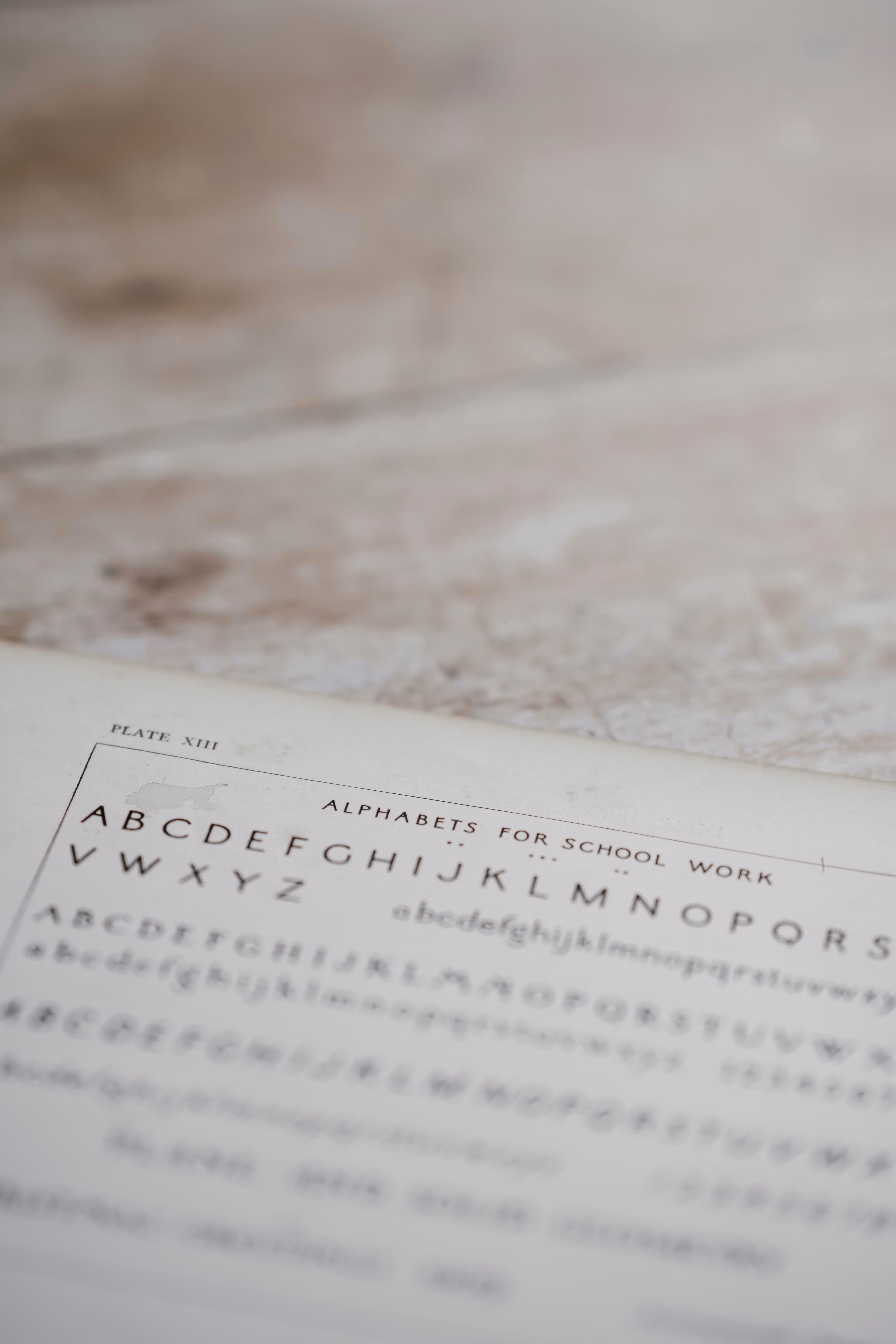 The Five Fundamental Elements Of English Grammar
