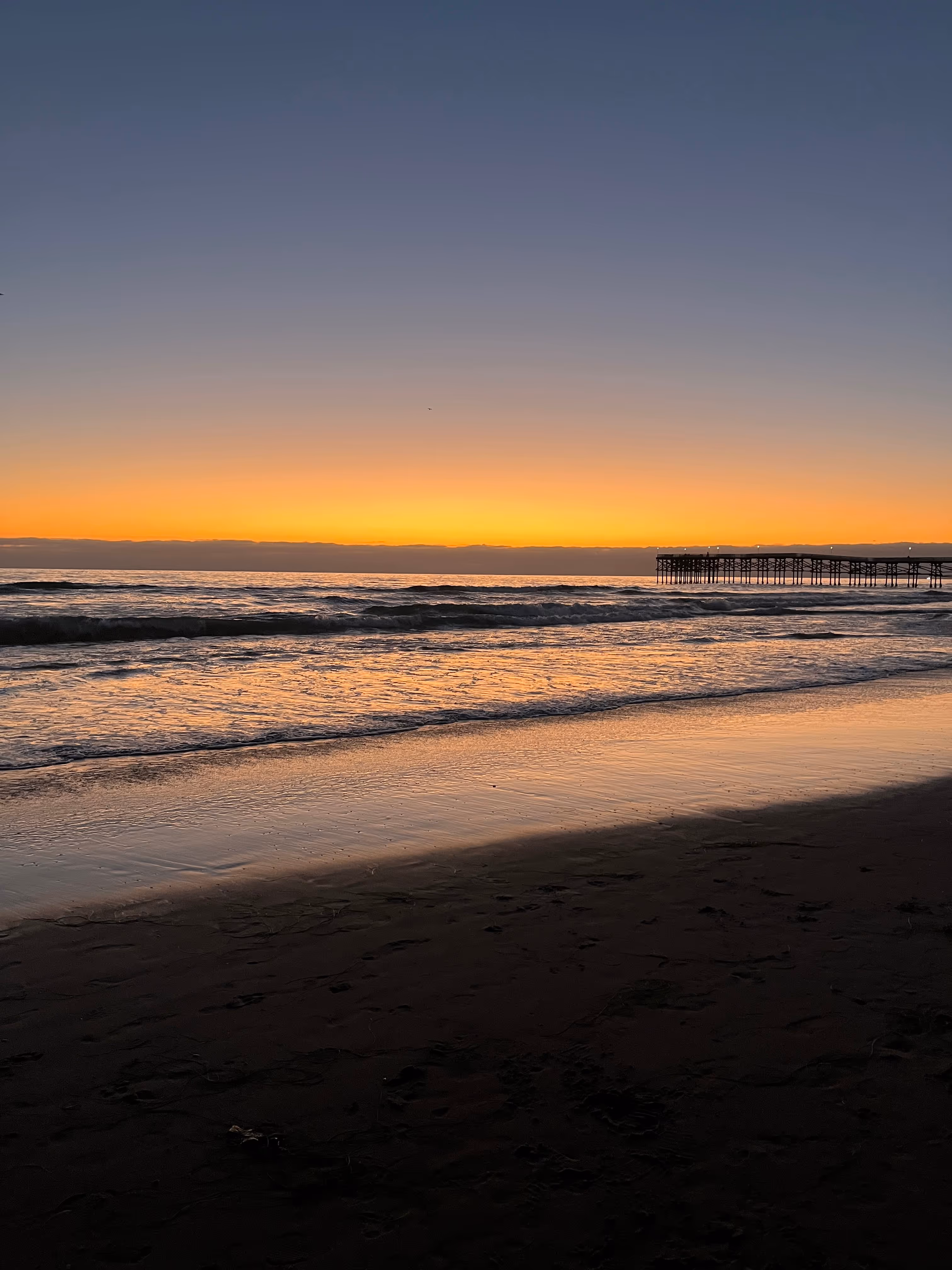 Sorties, plages, rencontres : la vie étudiante à CEL San Diego
