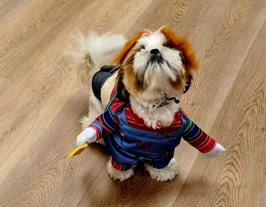 Namihei dressed as Chucky for Halloween.