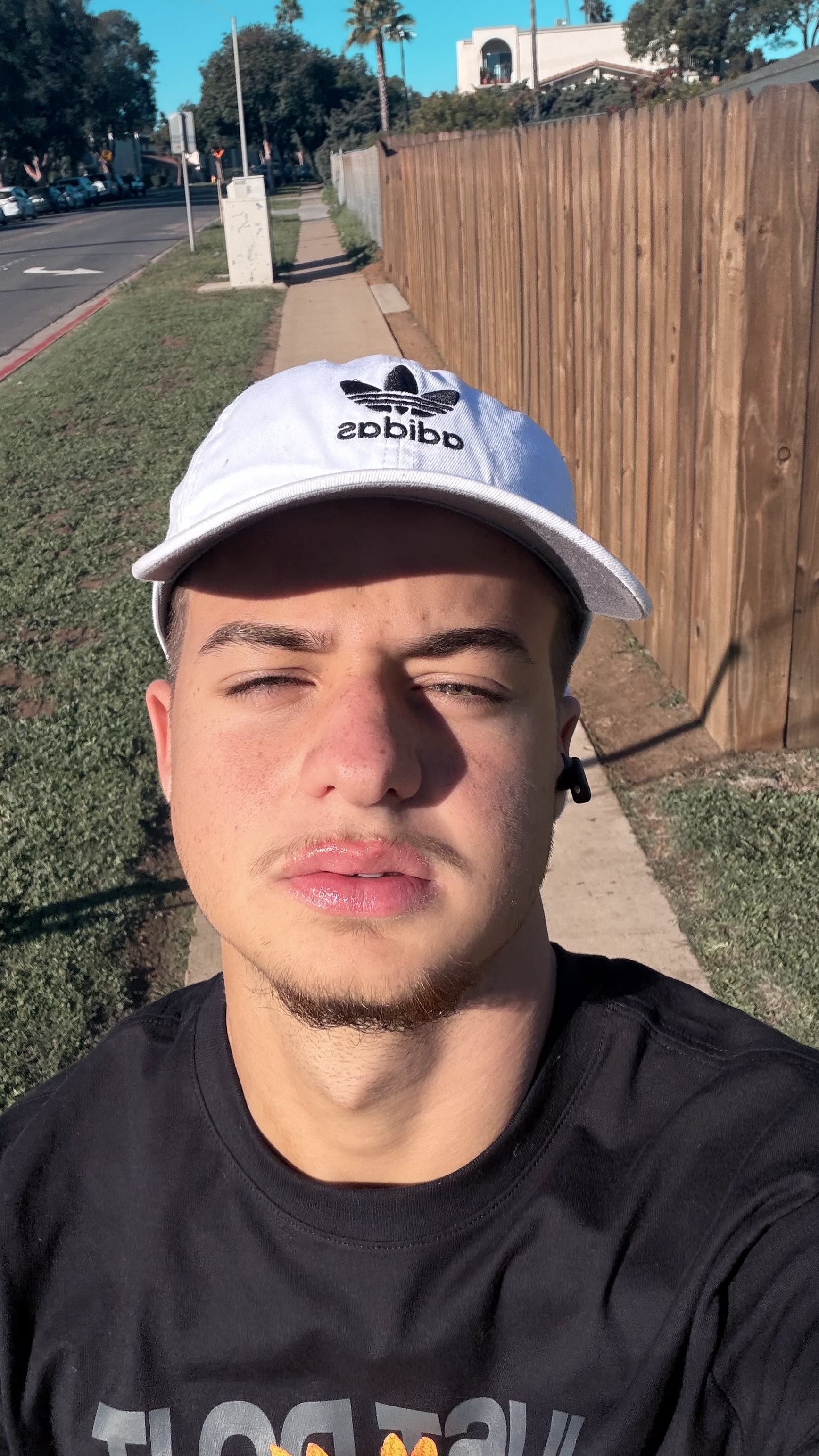 فيكتور هوغو   كويلو