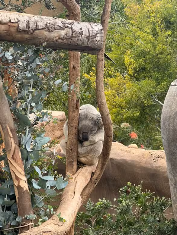 San Diego Zoo