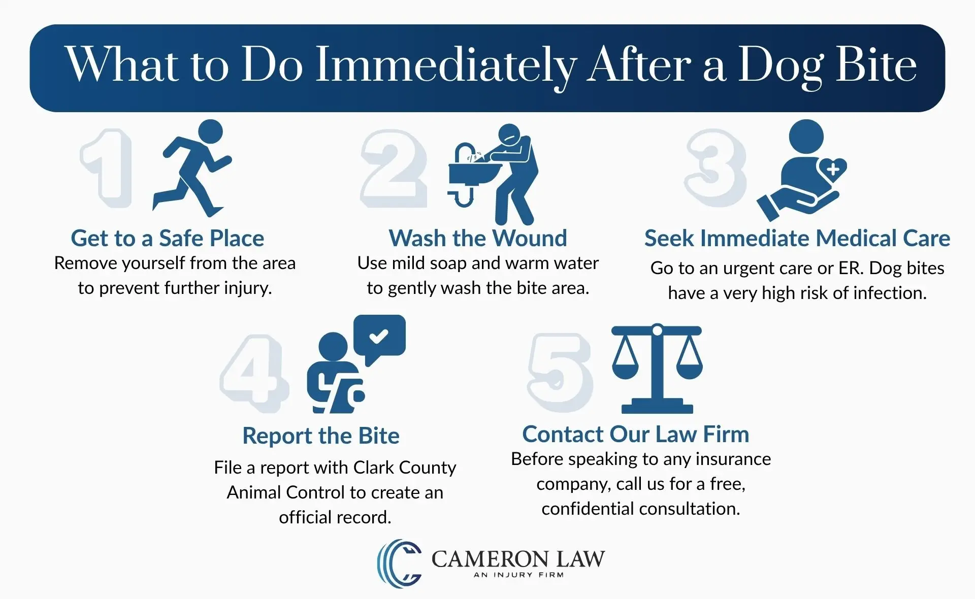A checklist infographic detailing the immediate steps to take after a dog bite to protect your health and legal rights.