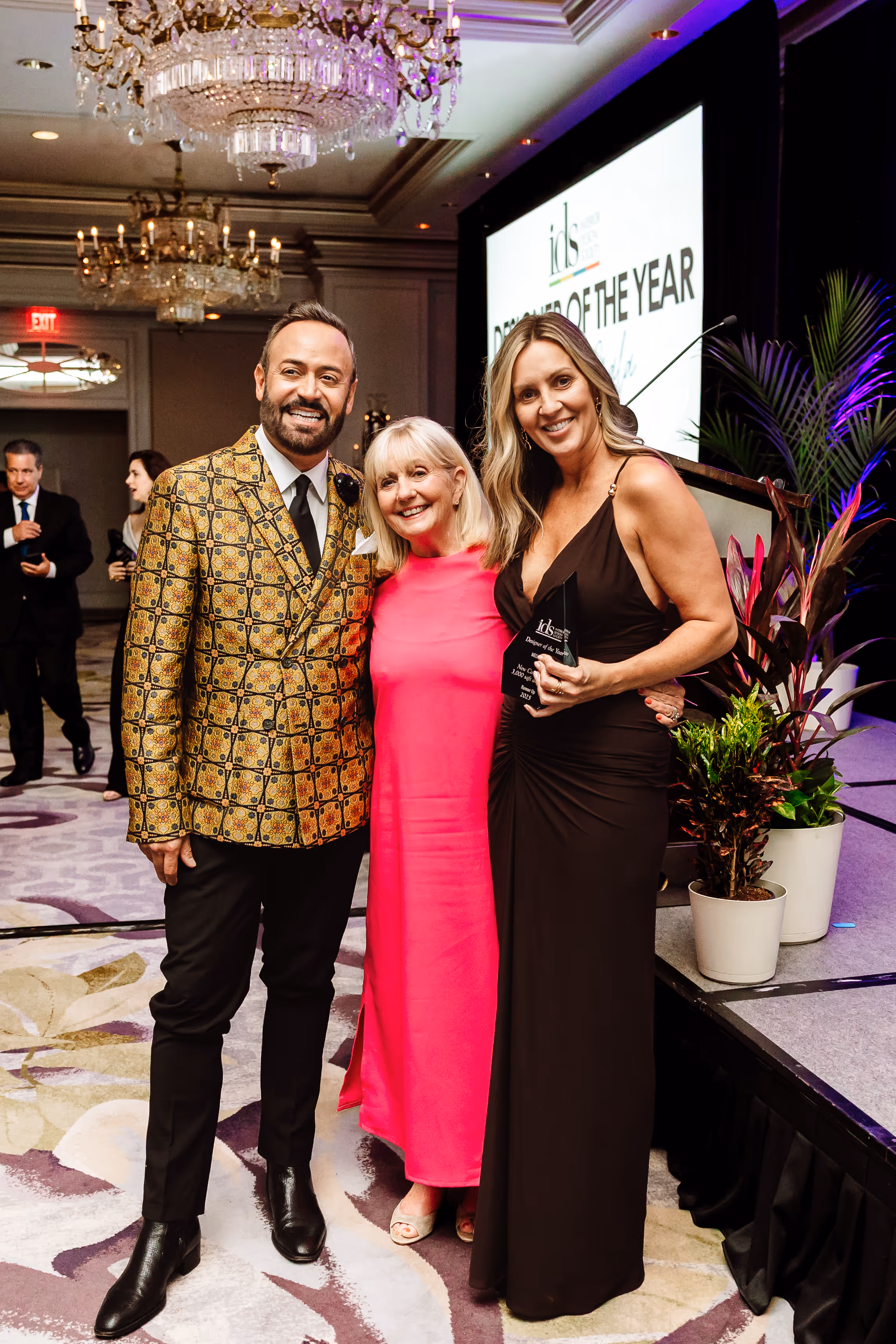 Image of a lounging area with a plant on the table.