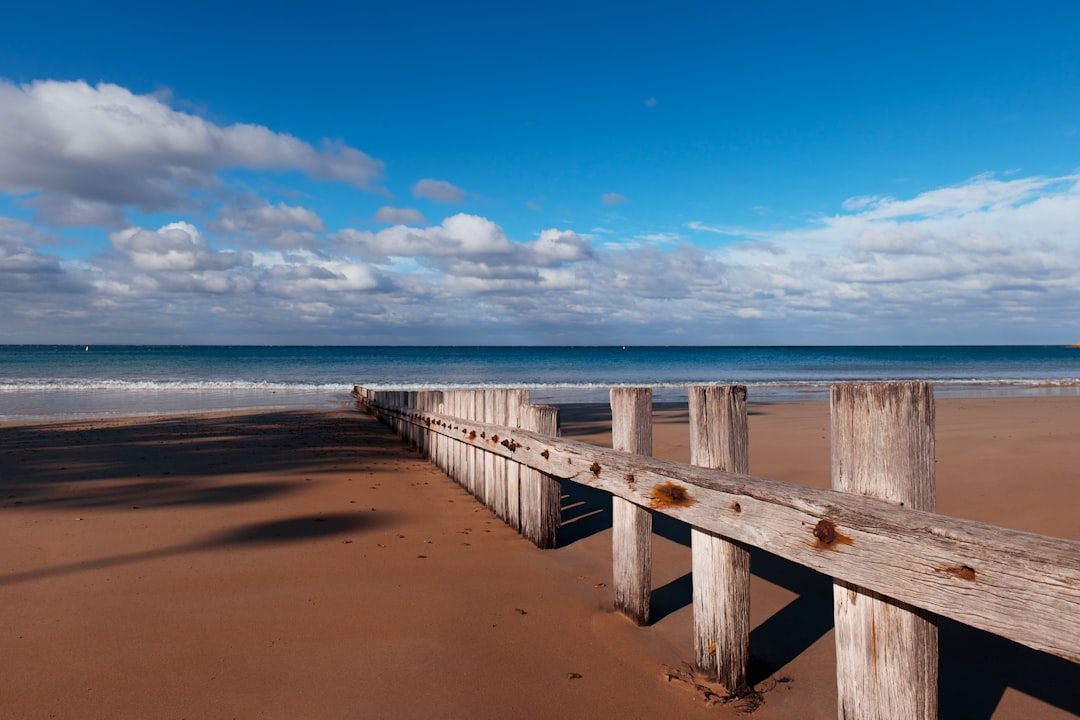 seawall - Cost of a seawall