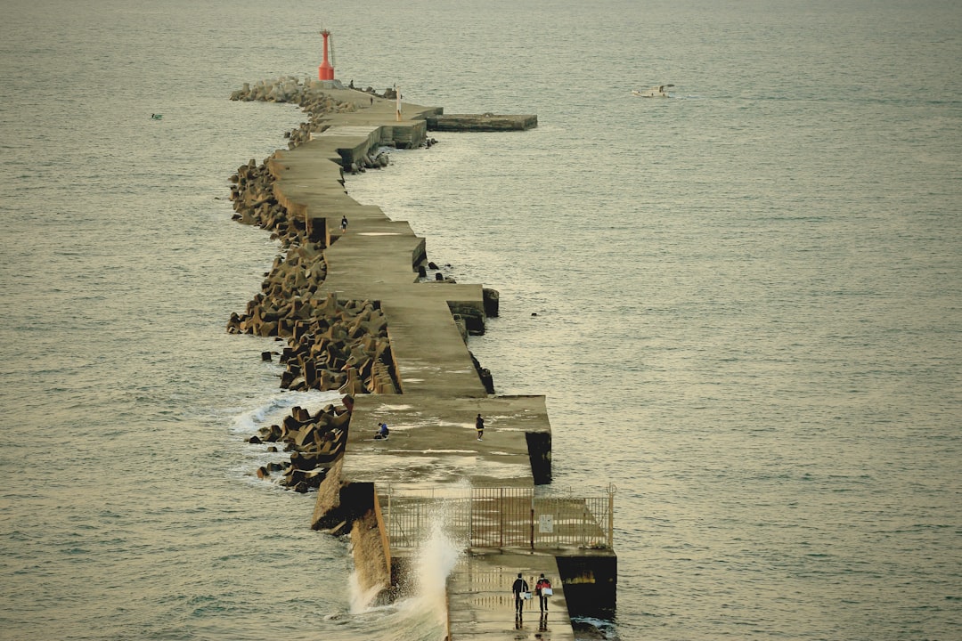 marine piling repair - marine piling repair