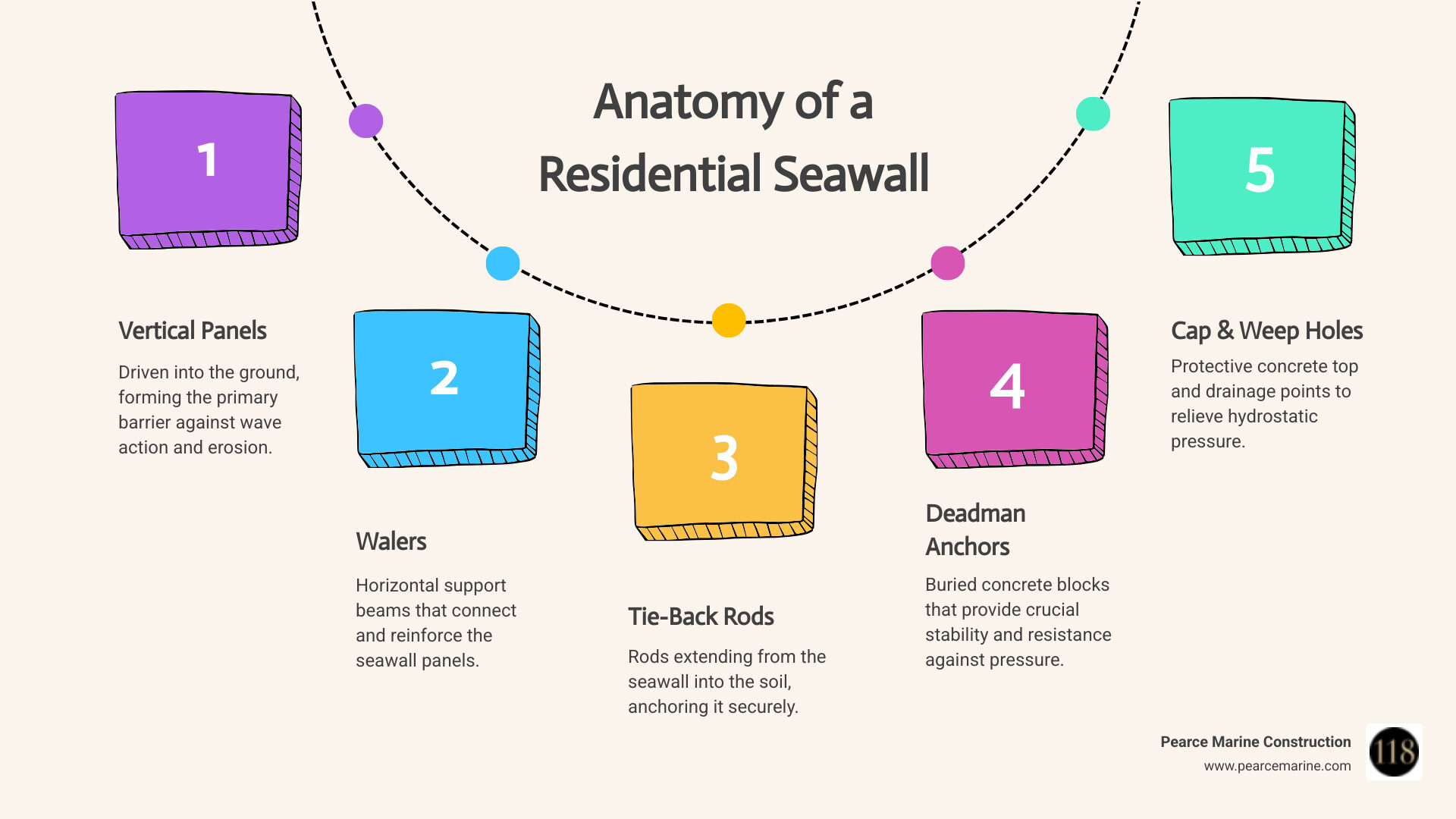 Infographic showing the anatomy of a residential seawall system, including vertical panels driven into the ground, horizontal waler boards for support, tie-back rods extending into the soil, concrete deadman anchors buried behind the wall for stability, weep holes for drainage, and a protective concrete cap on top, with labels indicating how each component works together to resist water pressure and prevent erosion - residential seawall construction infographic process-5-steps-informal