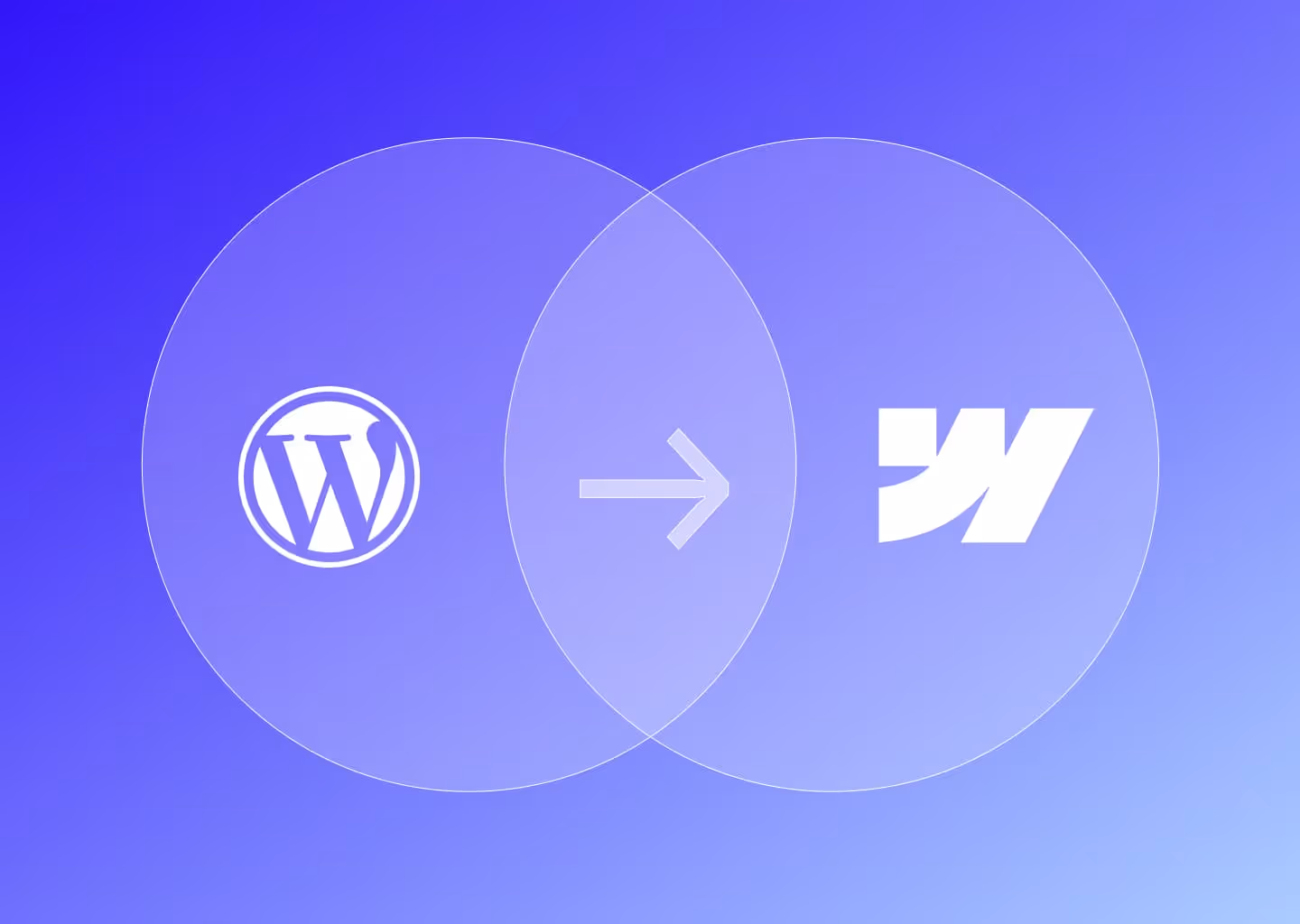 Is It Time to Migrate from WordPress to Webflow?