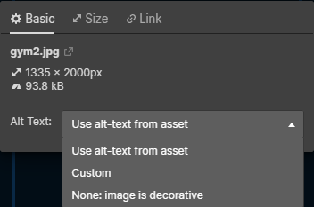 Shows the options given when editing an image in Webflow's editor. The user can add alt text that is "from asset", "custom" or "decorative".