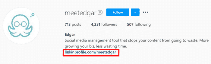 instagram meetedgar bio