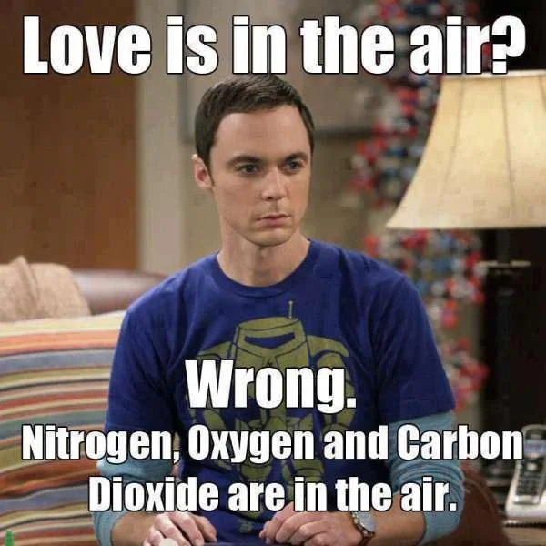 Meme Valentines Day The Big Bang Theory