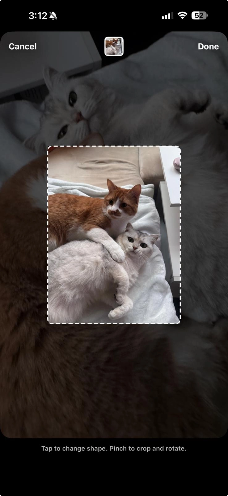 Instagram App - Adding Photo Sticker - Editing format 