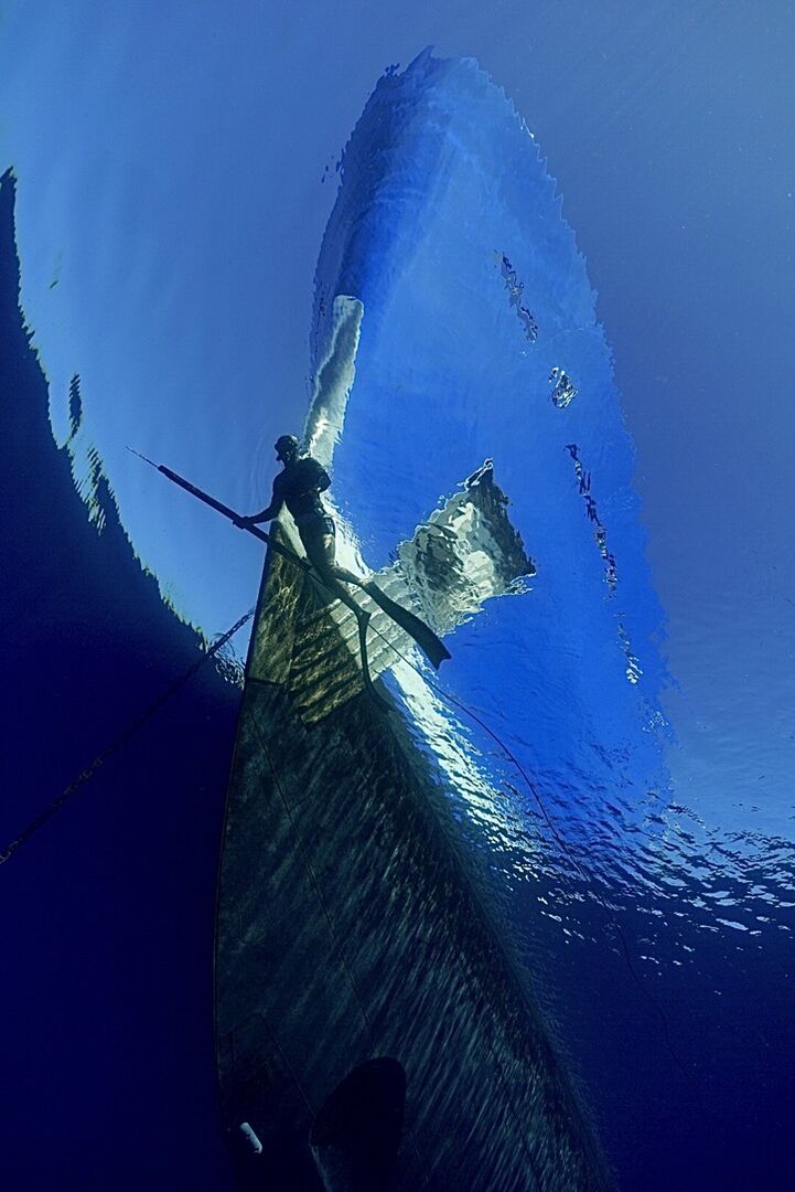 Cameron Kirkconnell spearfishing