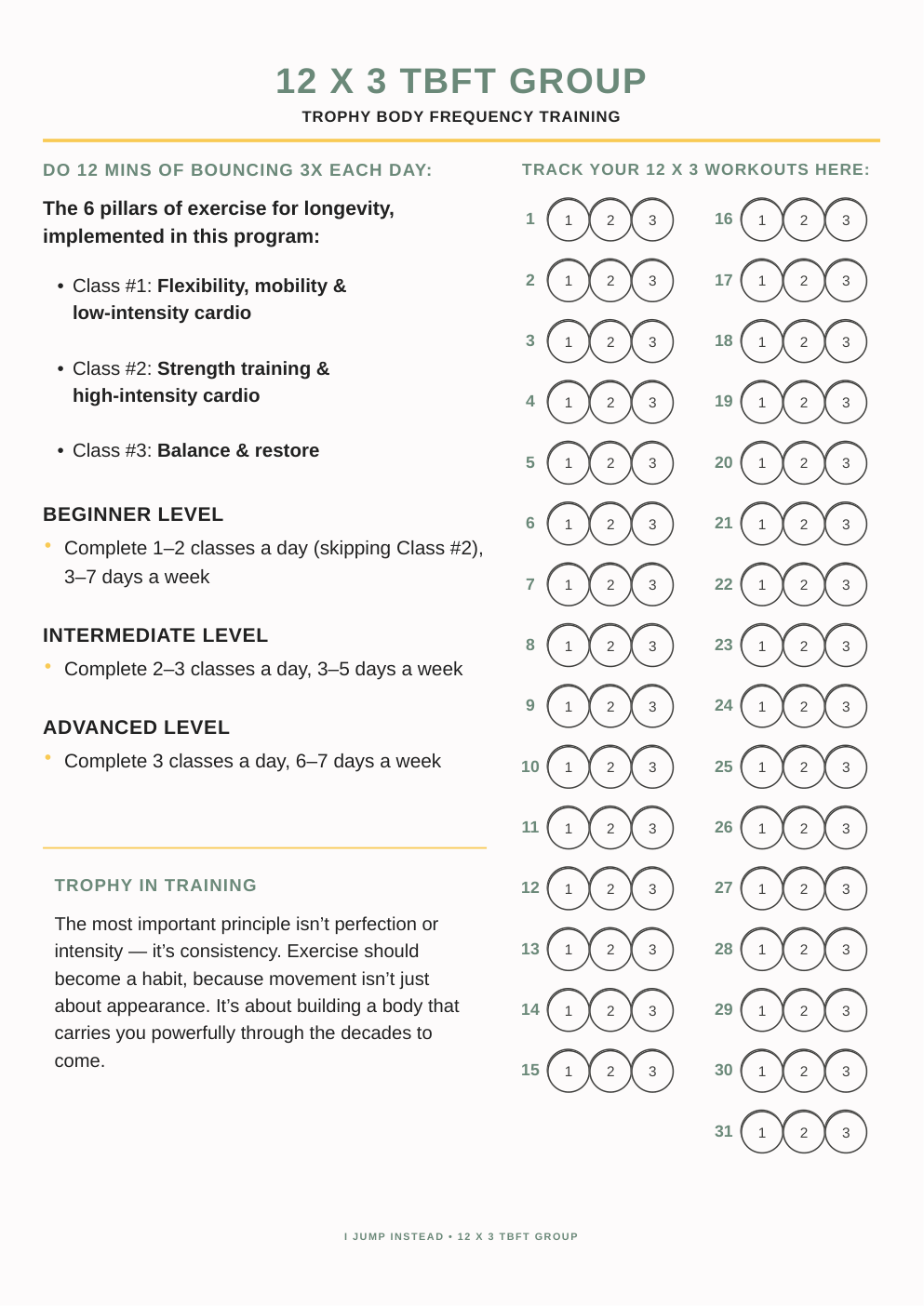 Page-one preview of the 12 × 3 Trophy Body Frequency Training Tracker