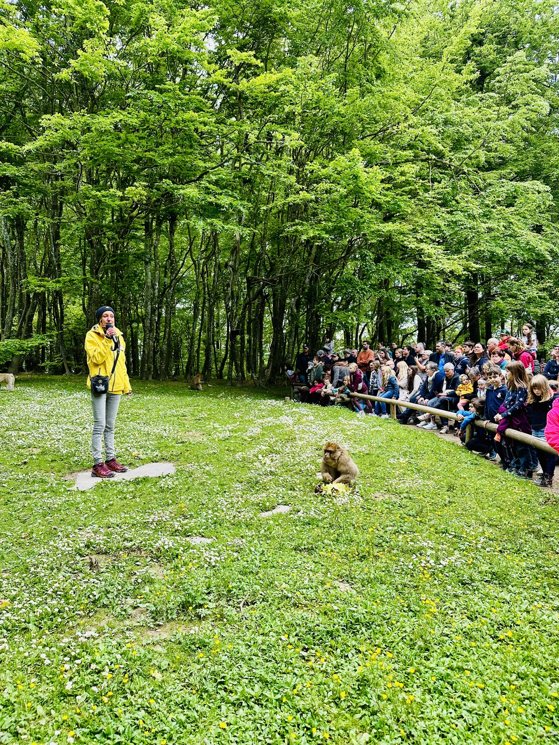 Holzbrücke über Wasser mit Hütten am Ufer in Uhldingen Mühlhofen, ideal für Luxus-Ferienwohnungen am Bodensee.