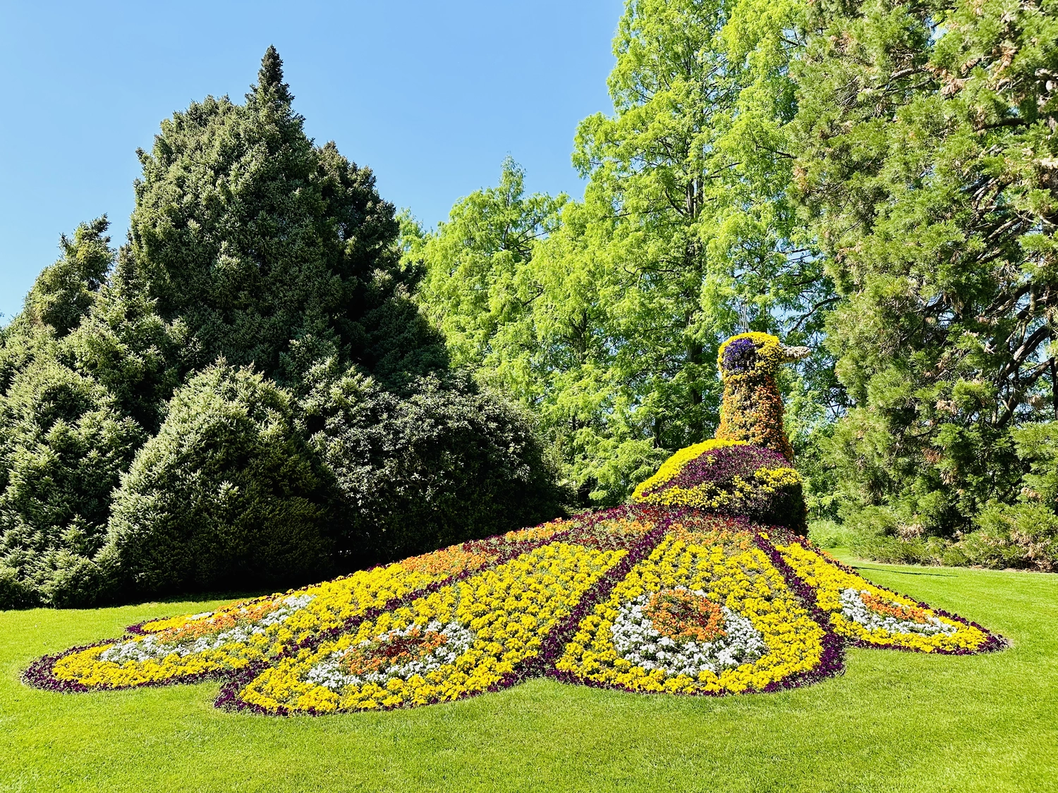 Holzbrücke über Wasser mit Hütten am Ufer in Uhldingen Mühlhofen, ideal für Luxus-Ferienwohnungen am Bodensee.