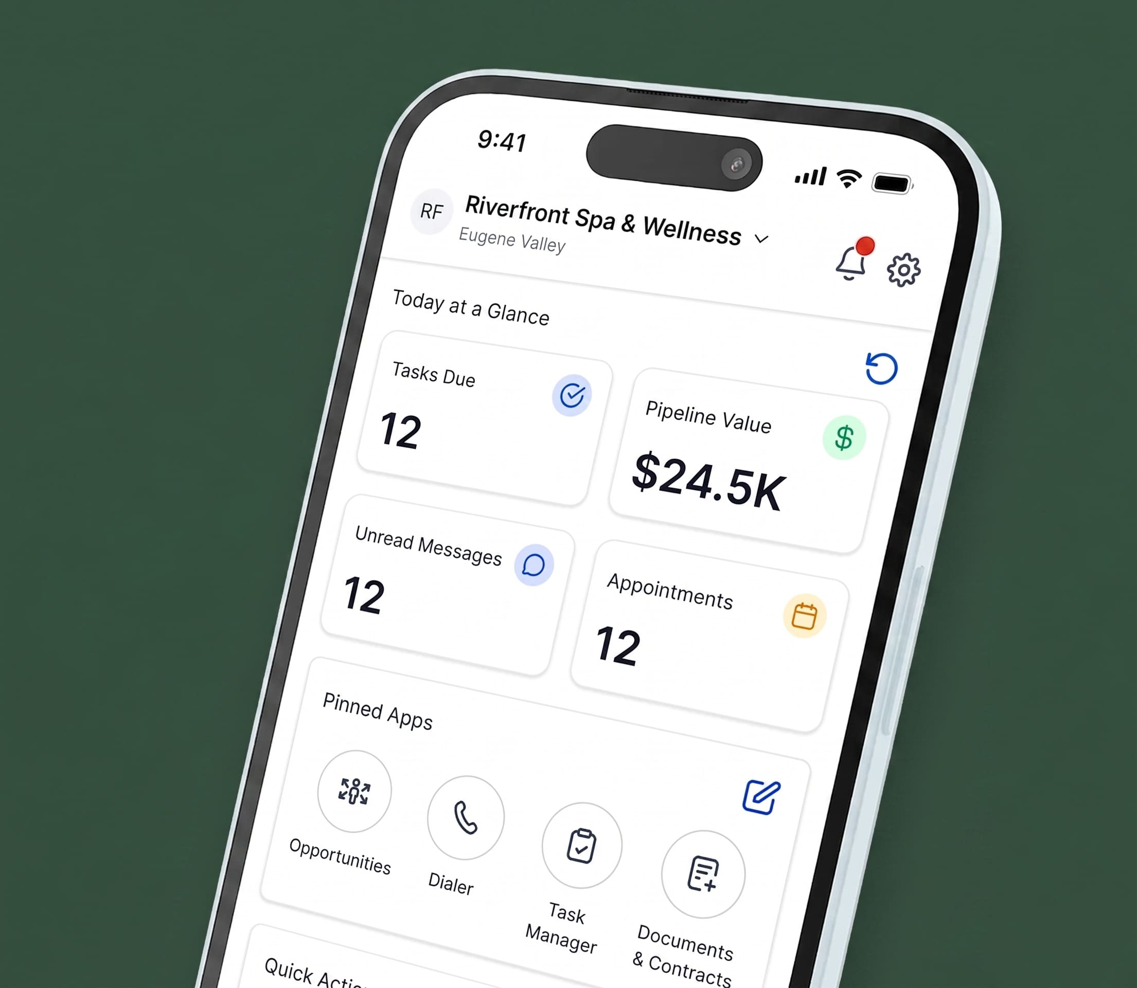 GoHighLevel Account Audits