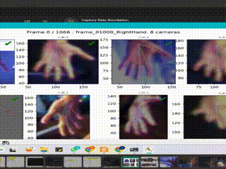 Captury Hand Annotation