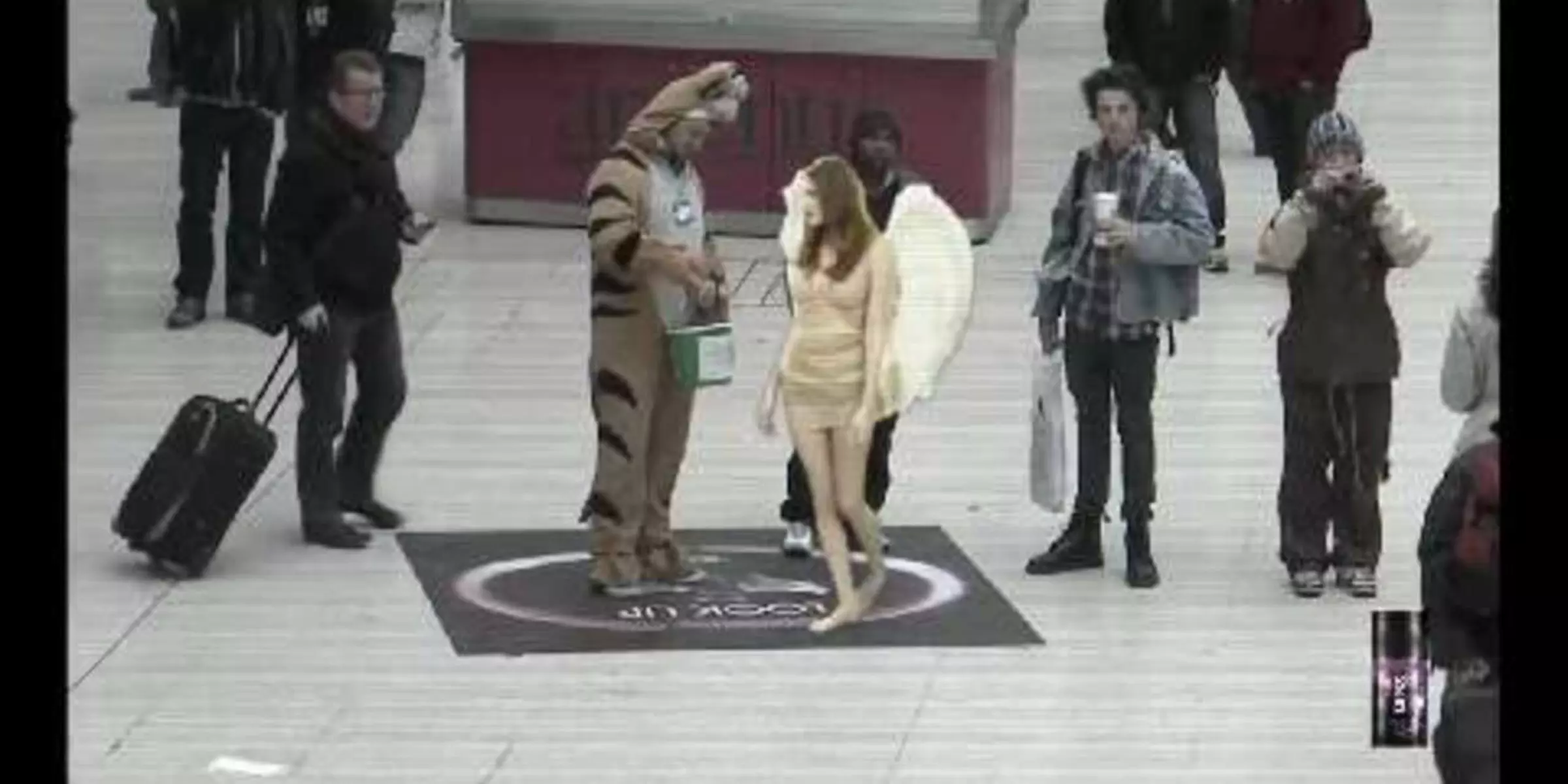 Lynx: even angels will fall (2011)