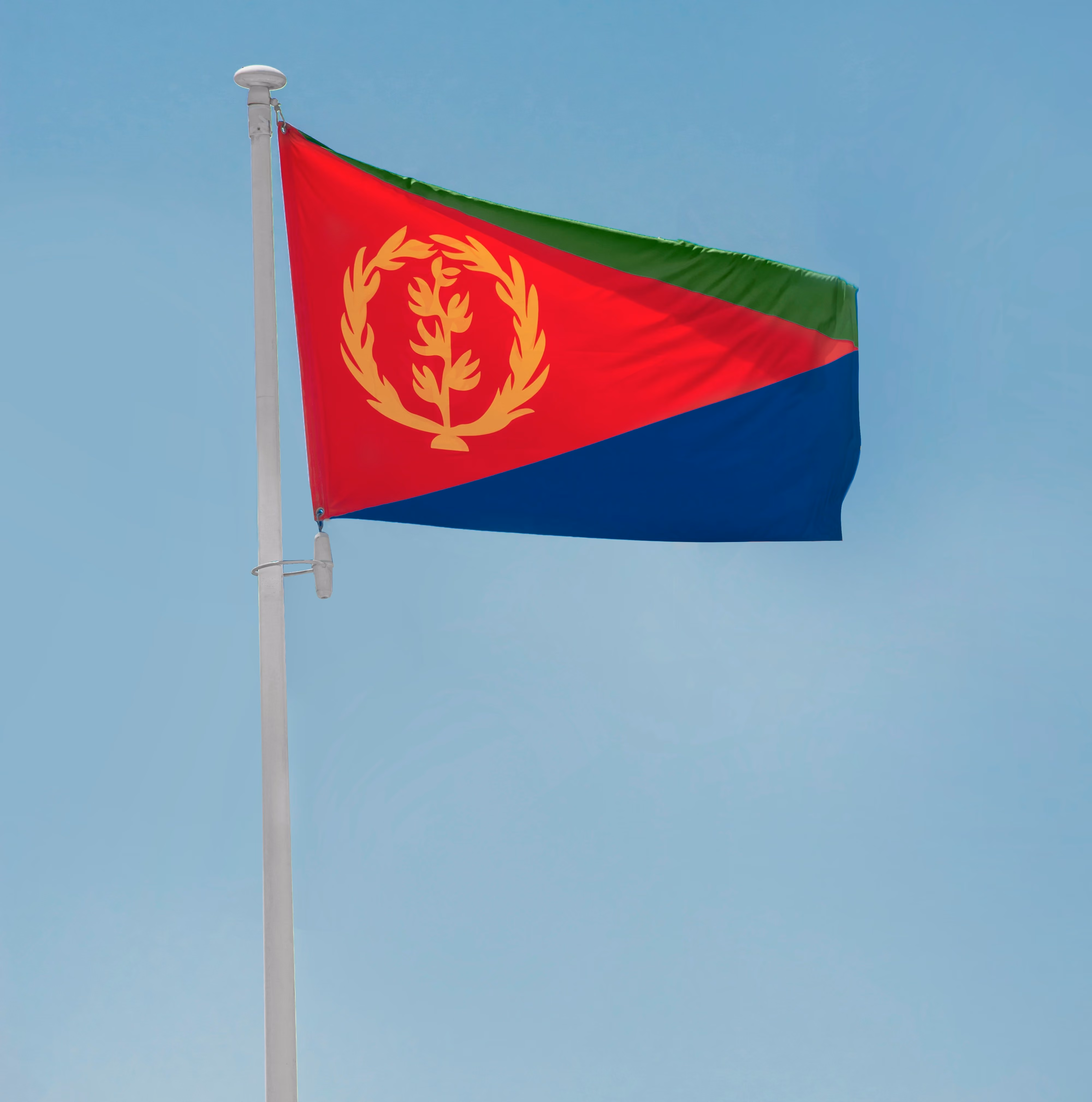 A picture of the Mongolia's flag