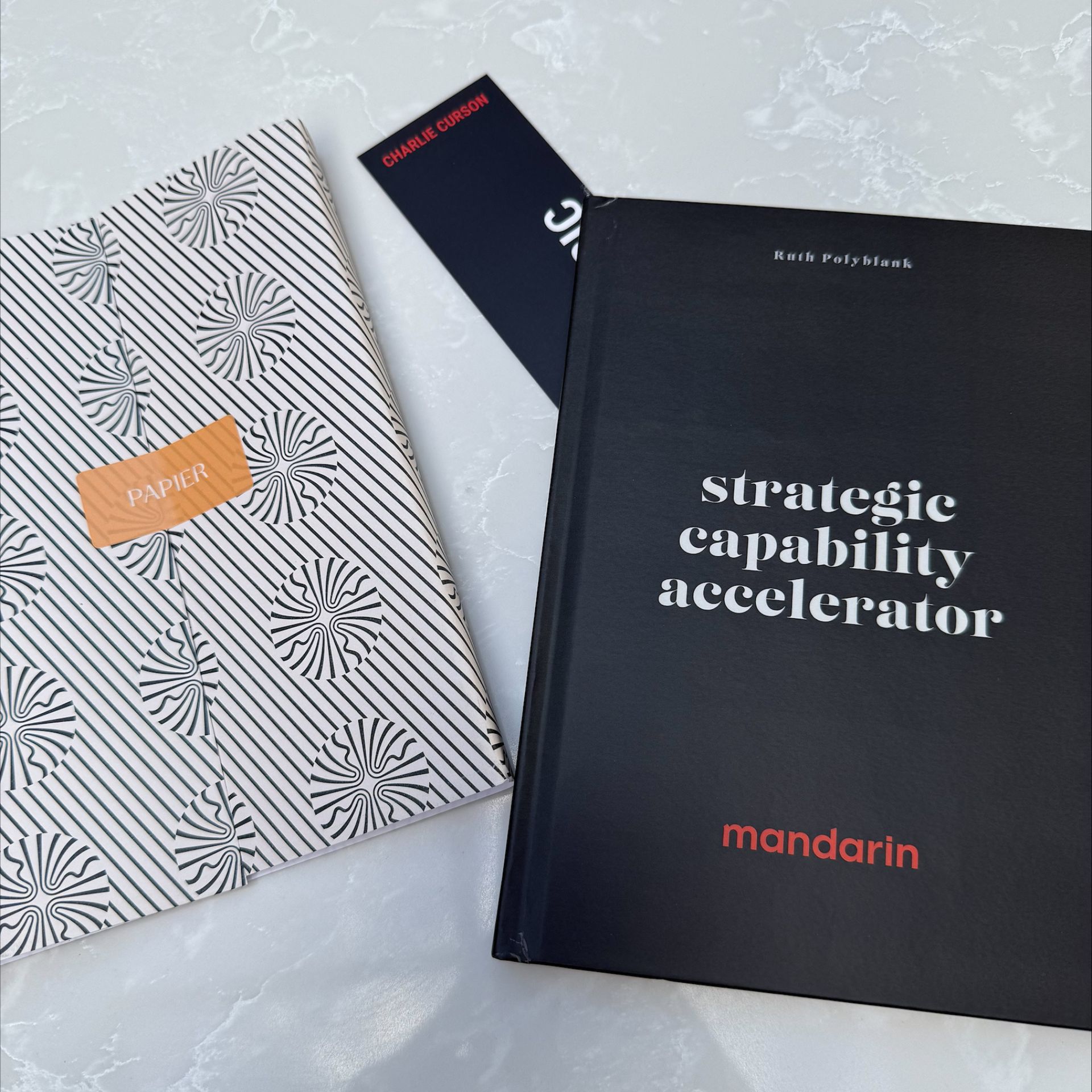 Strategic Capability Accelerator Personalised Journal for participants
