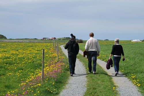 Tre personer går på en grusvei gjennom et grønt landskap med gule blomster under en blå himmel.