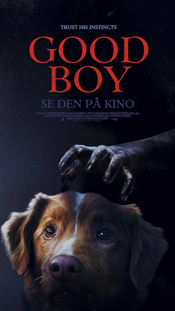Good Boy