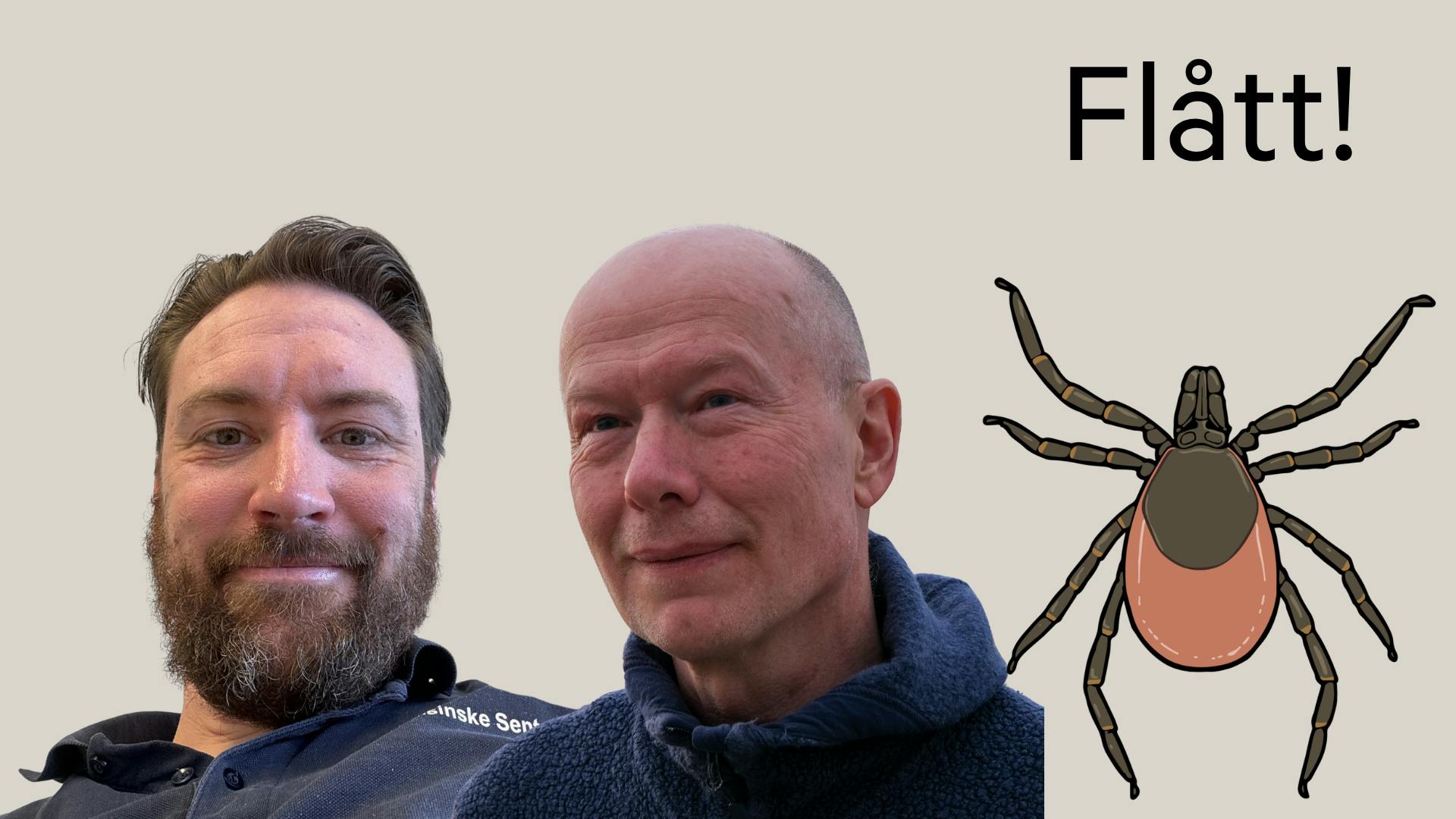 Foredrag: Flått!