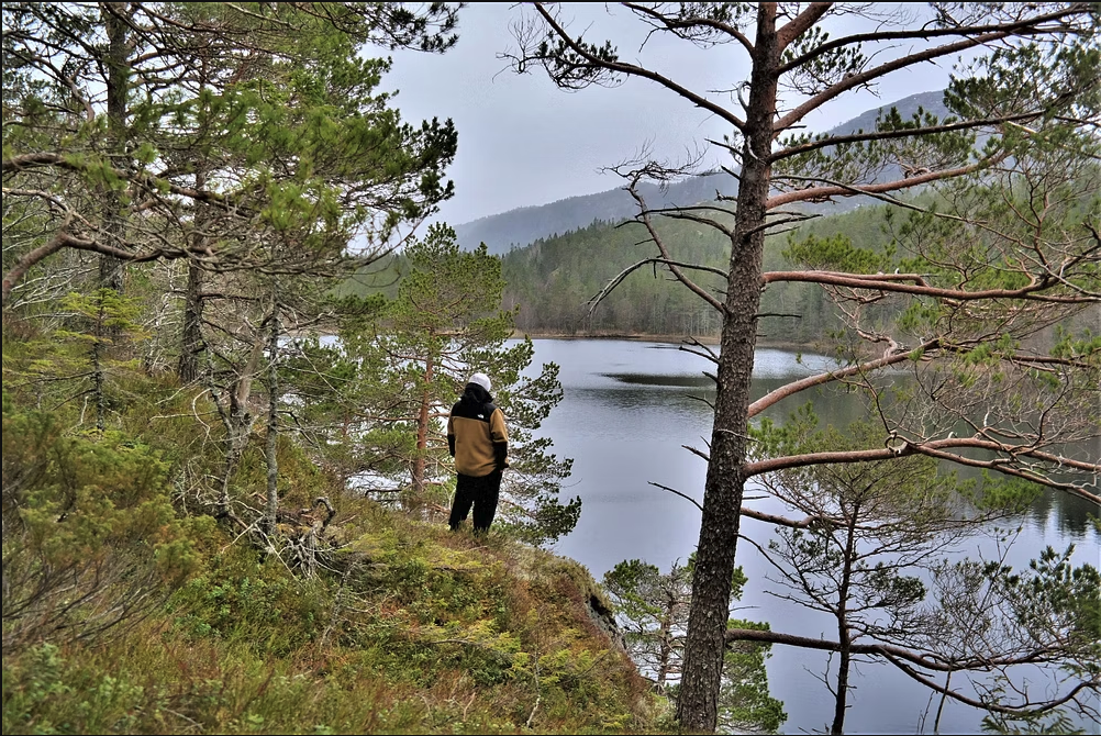 Audalsvatnet