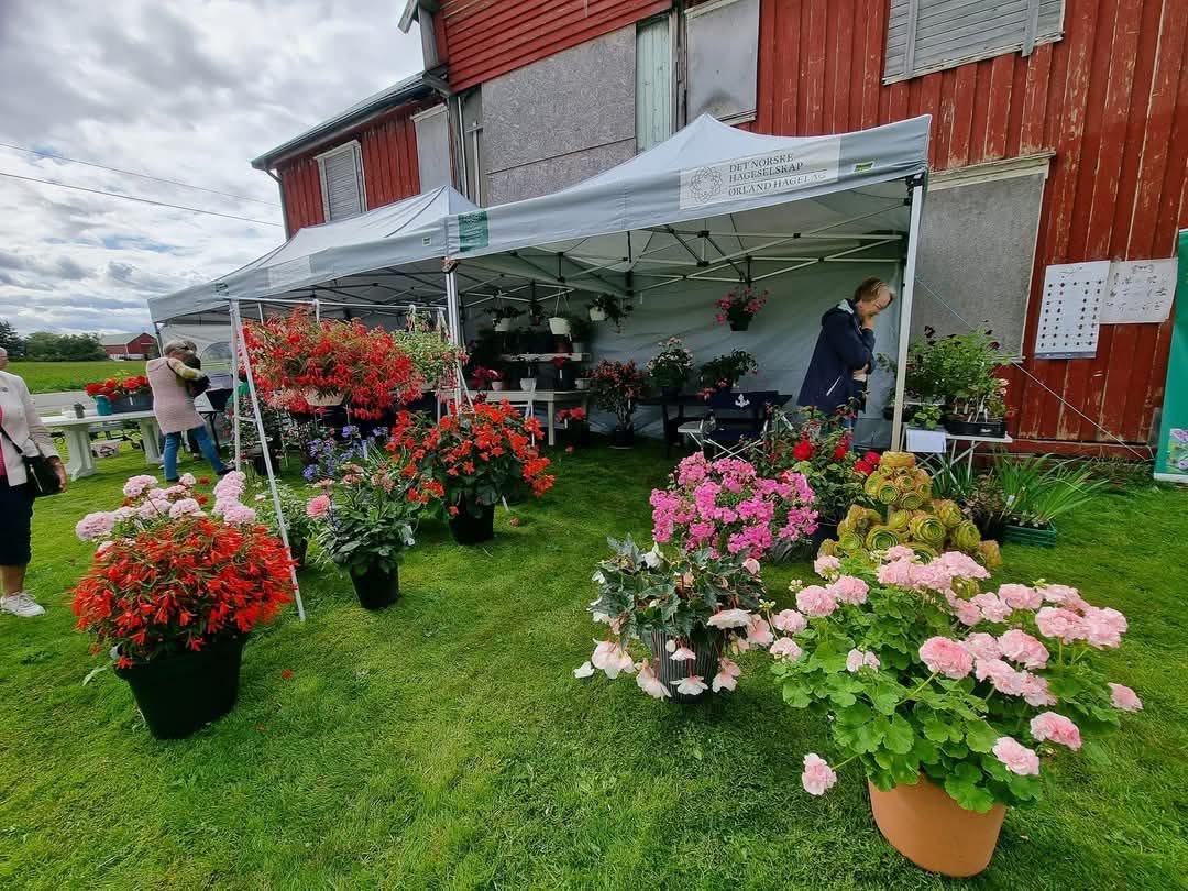 Blomstershow 2026