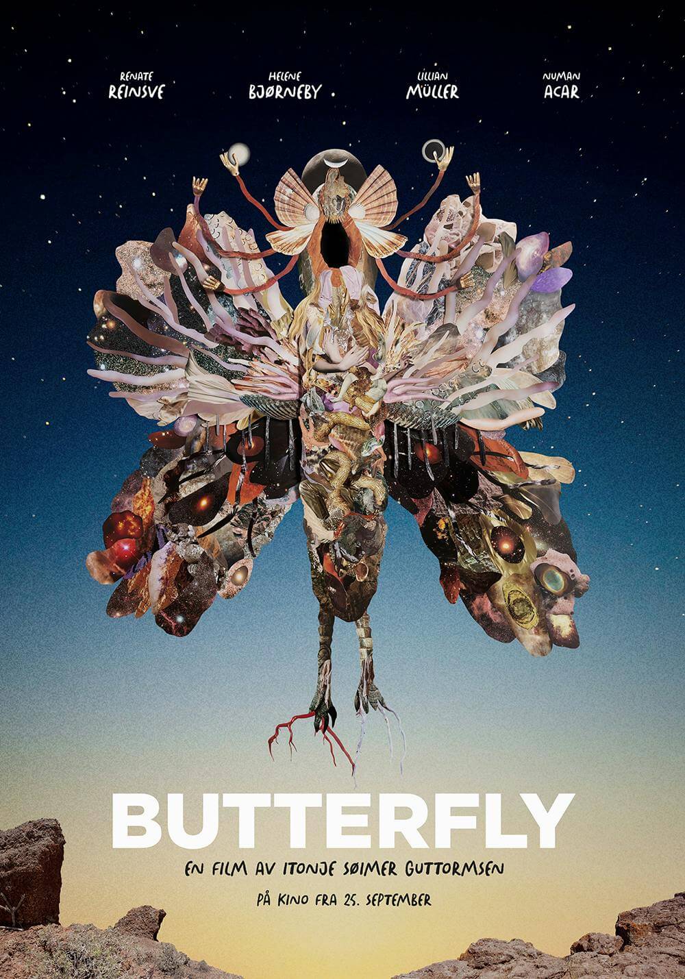 Butterfly