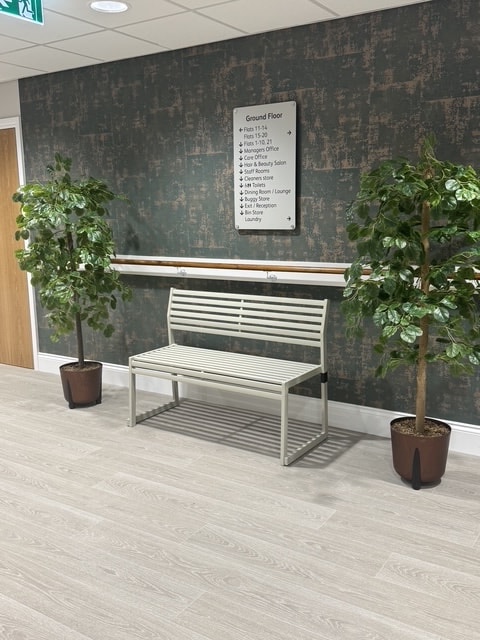 Bench and trees