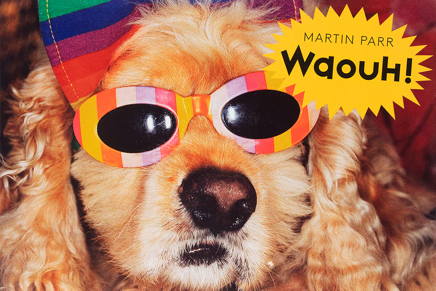 Livre Wow de photographies par Martin Parr