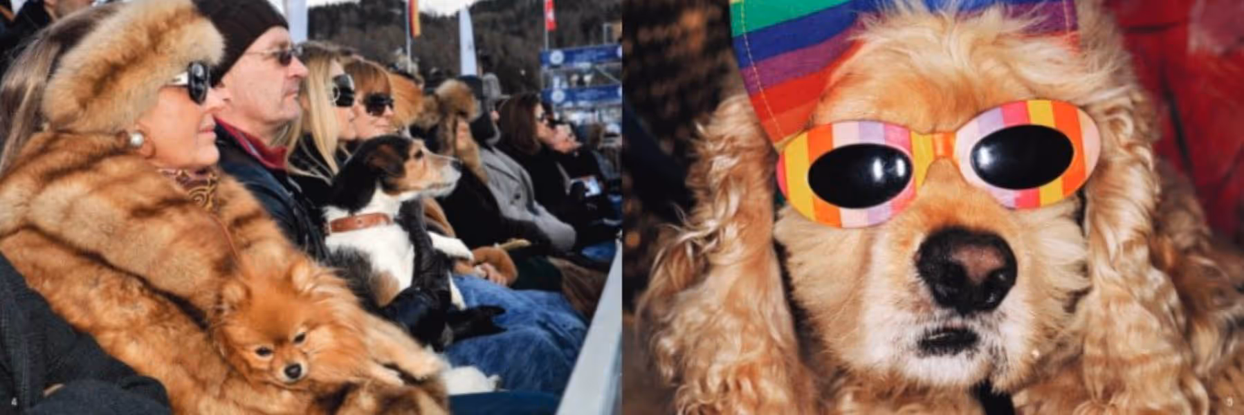 Livre Wow de photographies par Martin Parr